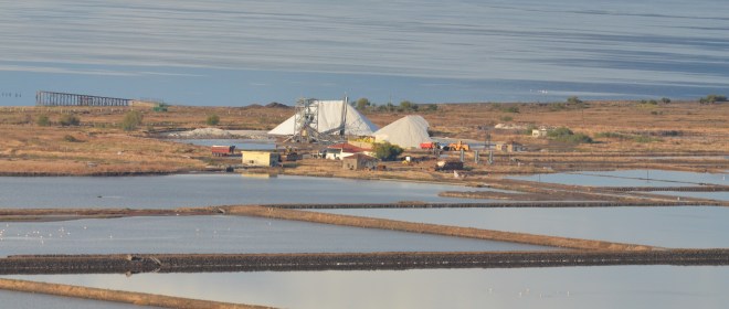 99X_2696cropped for blog