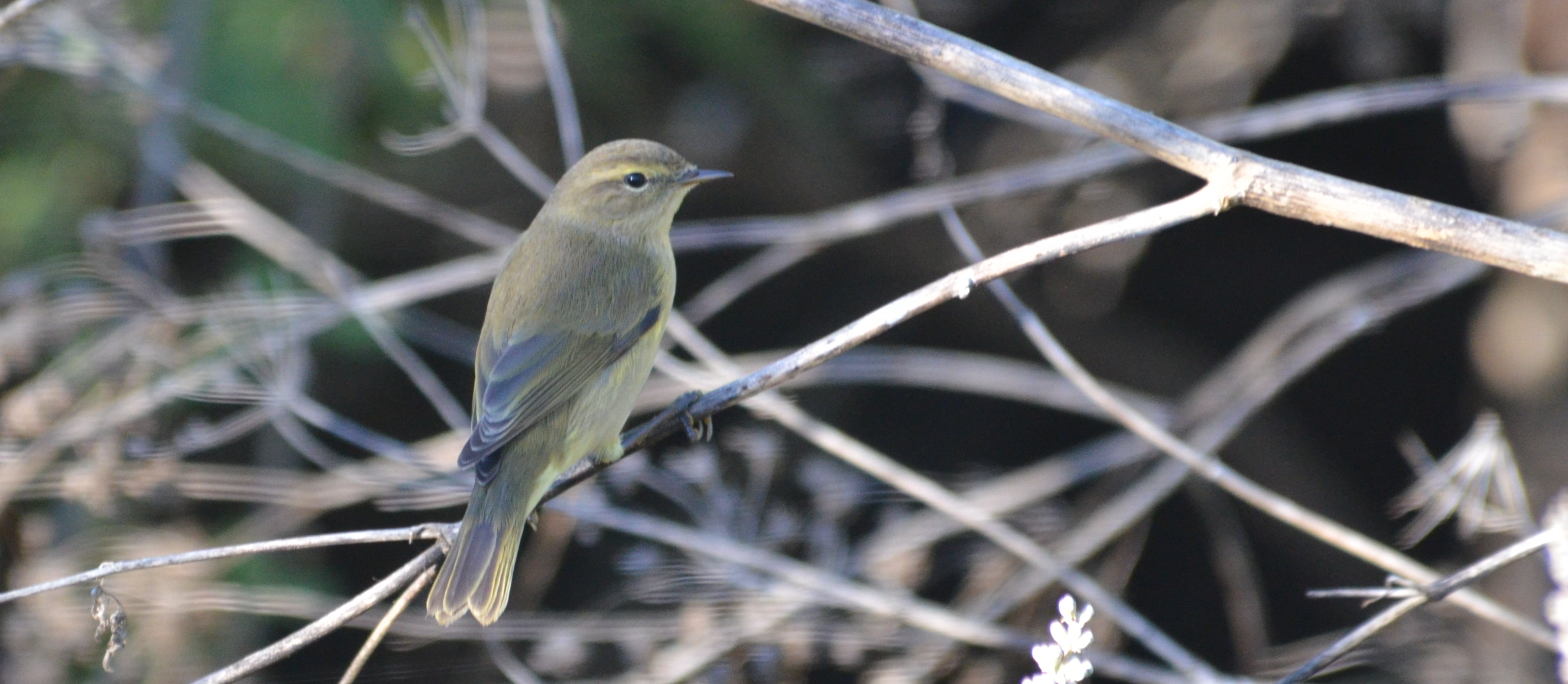 99X_3244 gia blog xana