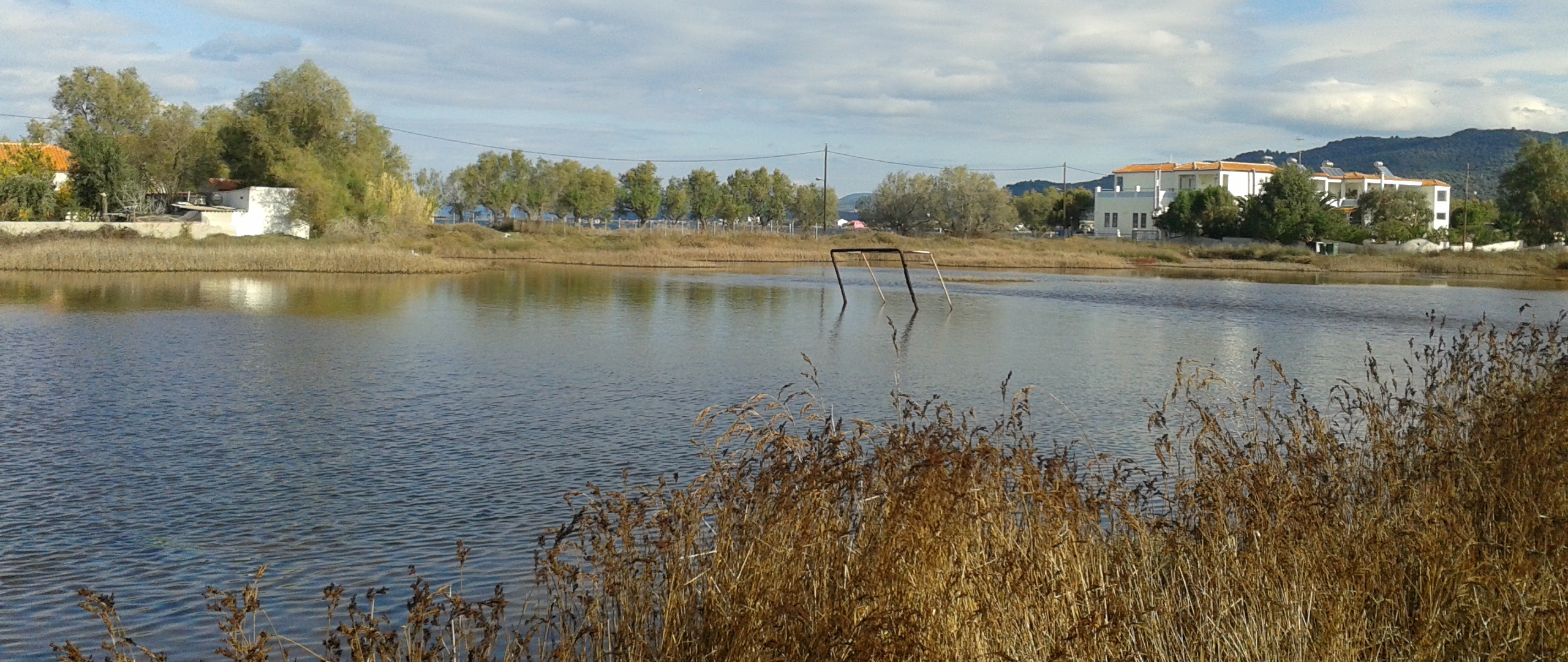 20141121_125253 crop