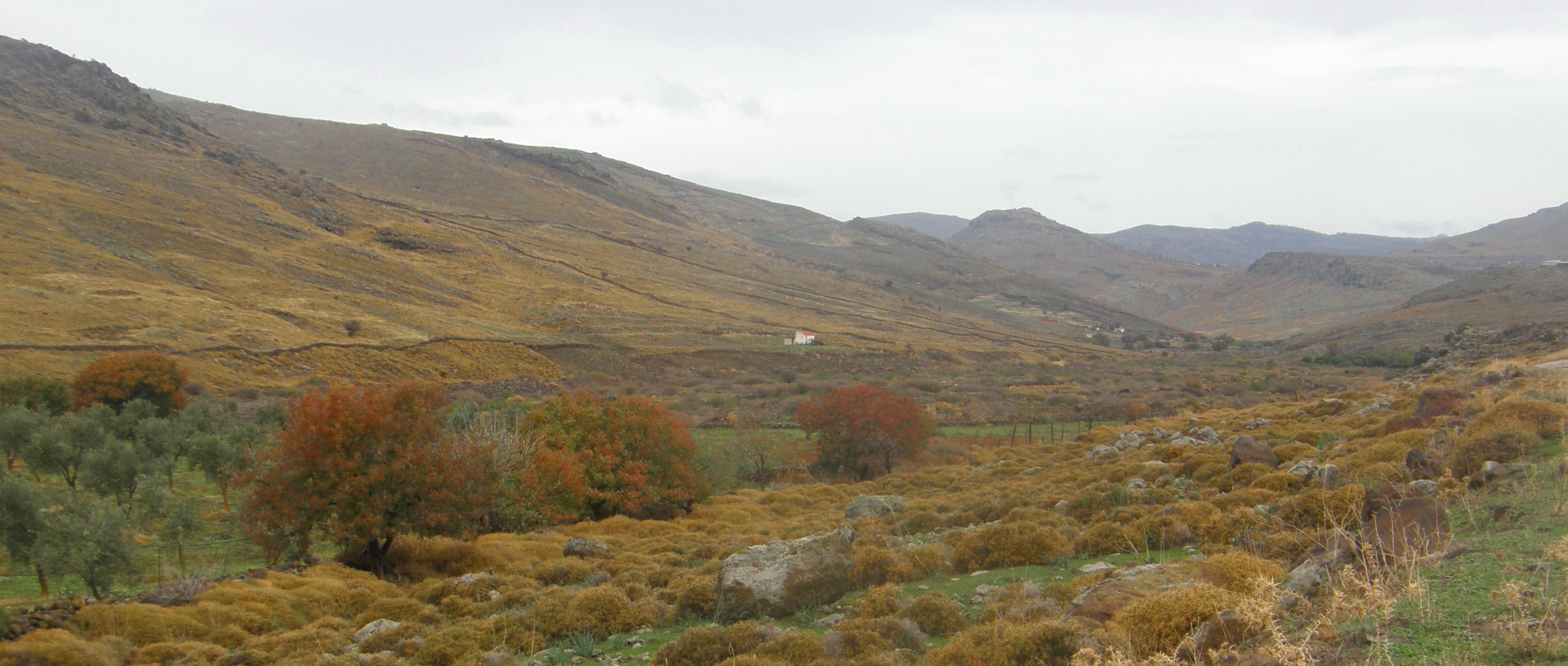 ???????????????????????????????