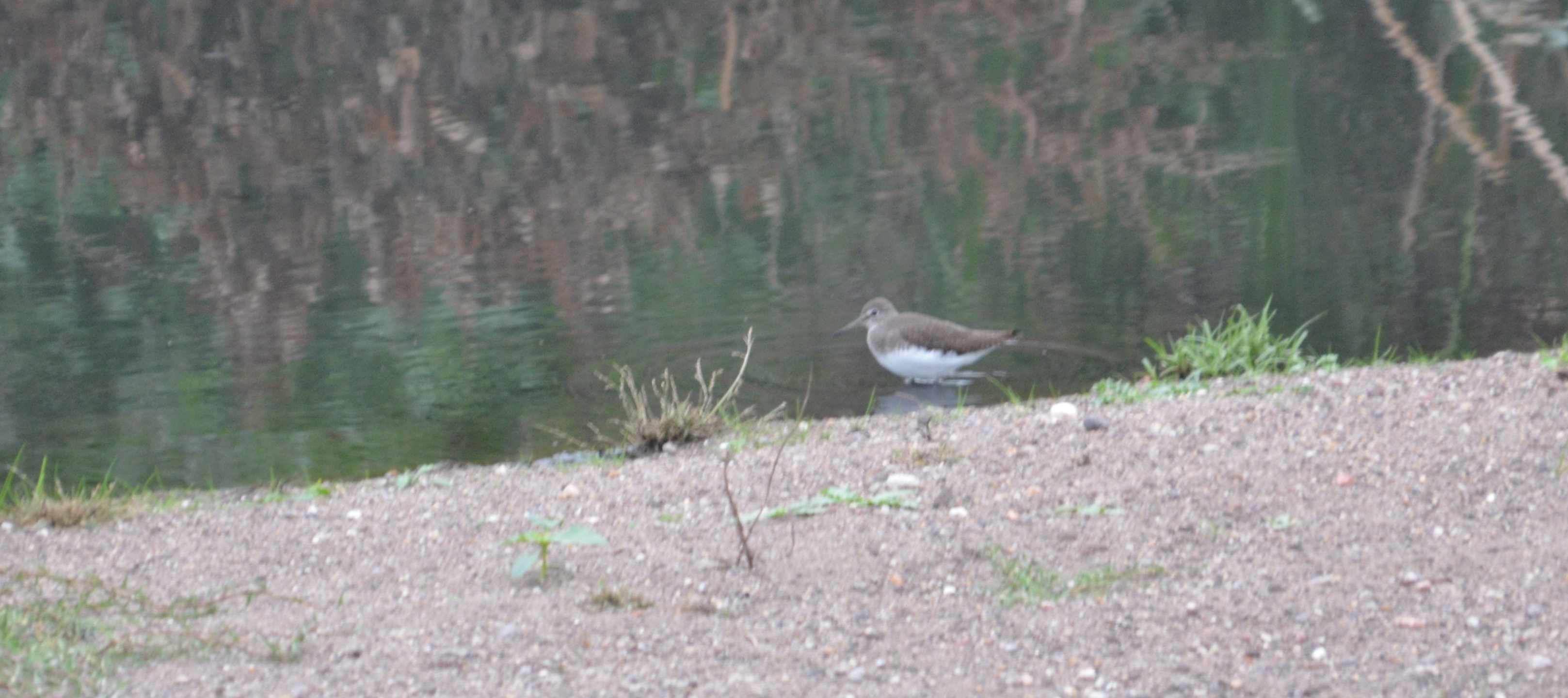 TROCH Tsiknias 28 Oct 14