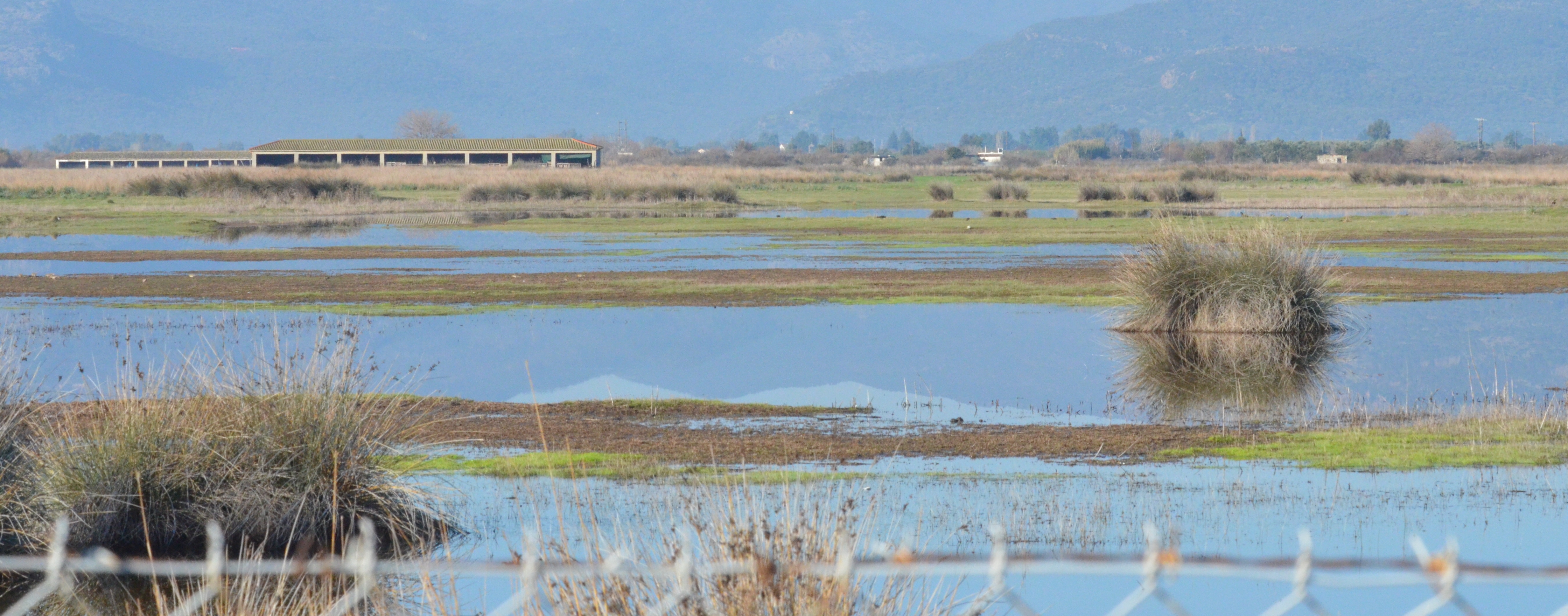 99X_5002 crop for blog