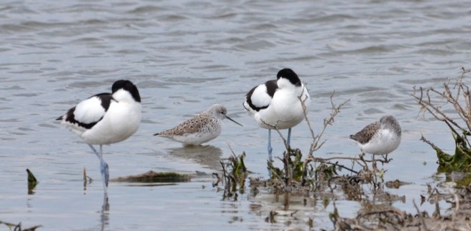 99X_9998 small kai cropped