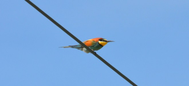 ????????????????????????????????????