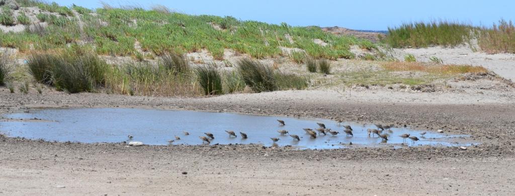 ????????????????????????????????????