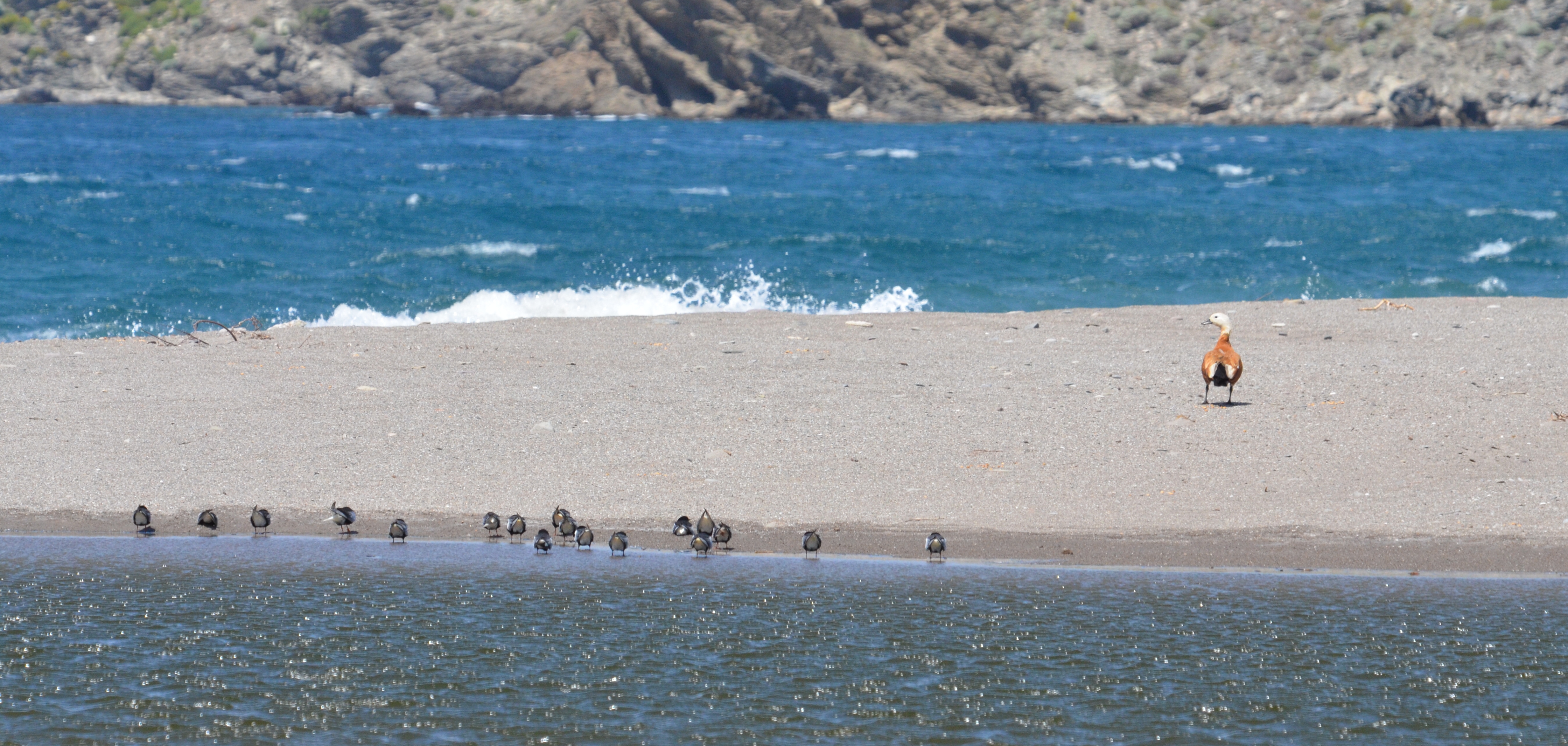 ????????????????????????????????????