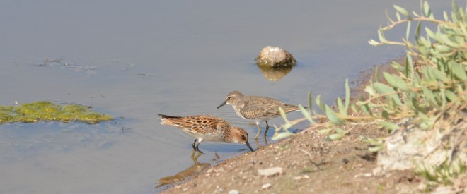 ????????????????????????????????????