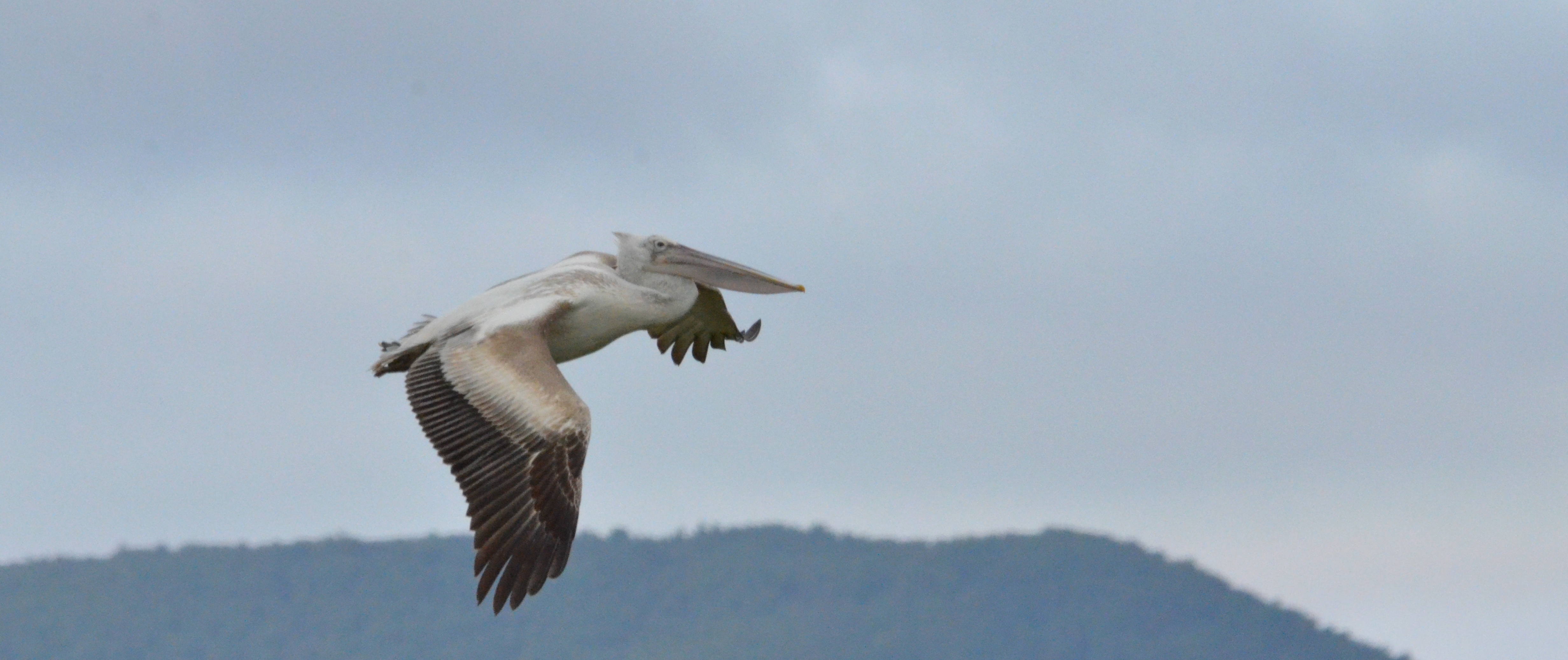 99X_0057 crop gia blog