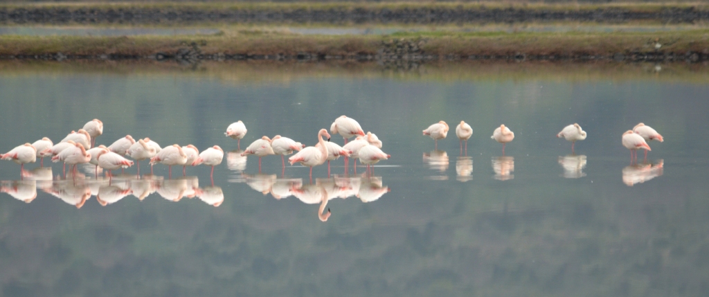 99X_1576 crop kai small gia blog