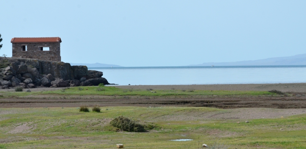 99X_2498 crop kai small BLOG