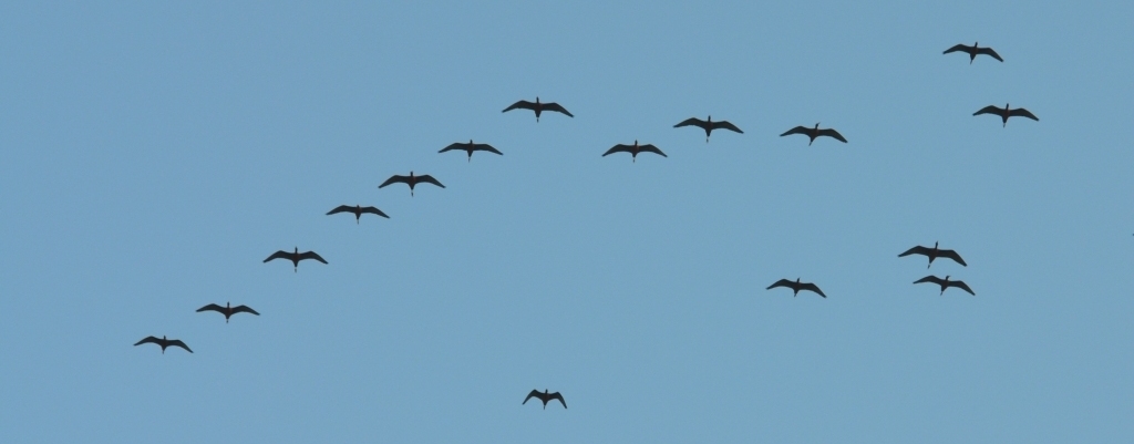 99X_3821 crop kai small BLOG