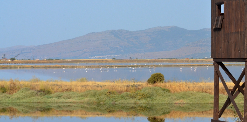 Kalloni Salt Pans north hide; Lesvos
