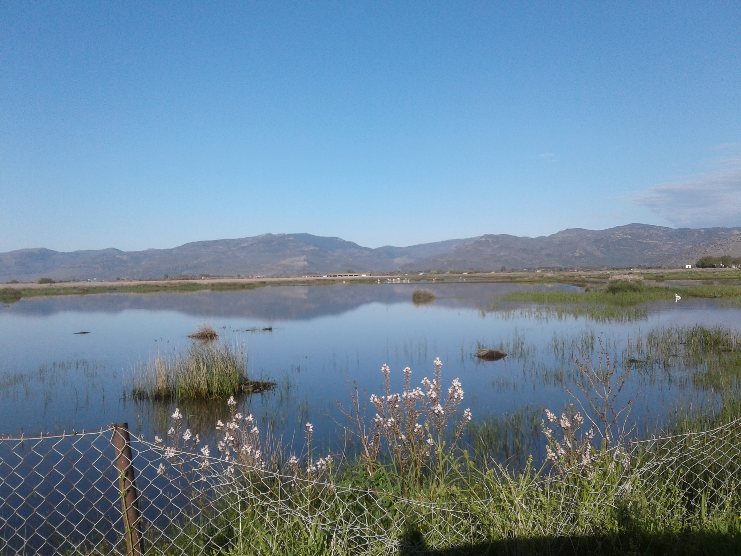Kalloni Salt Pans seasonal wetlands
