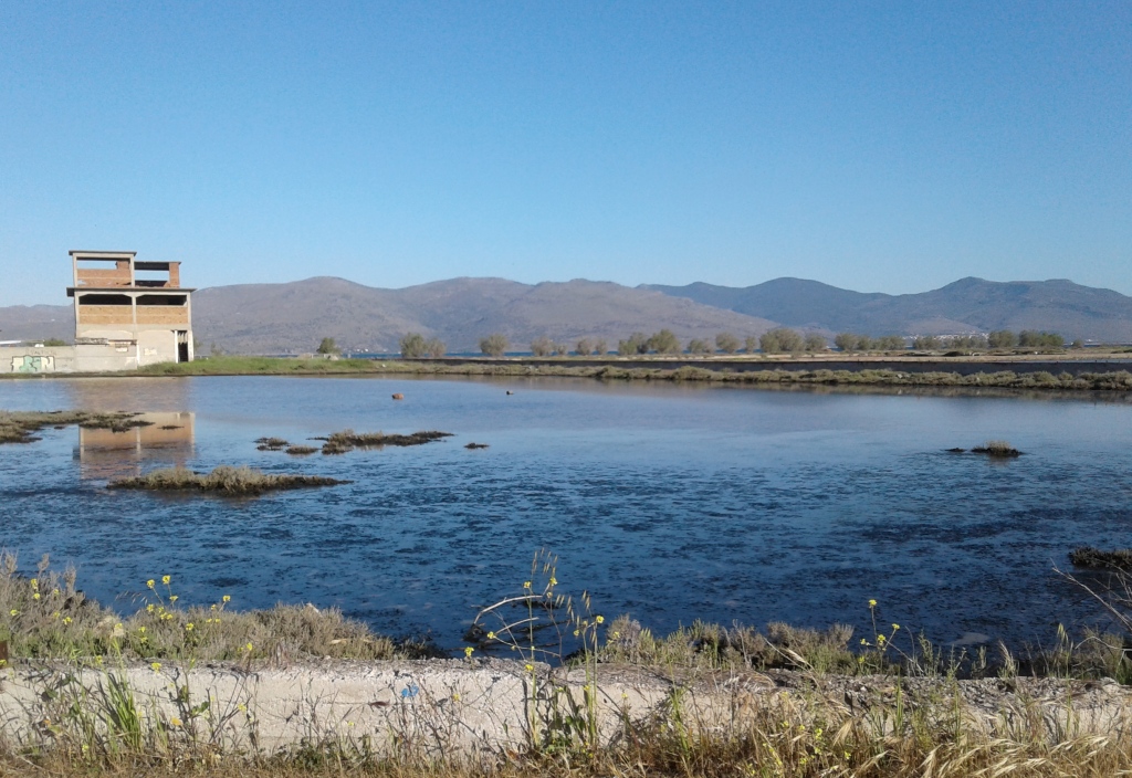 20170411_084908 crop small