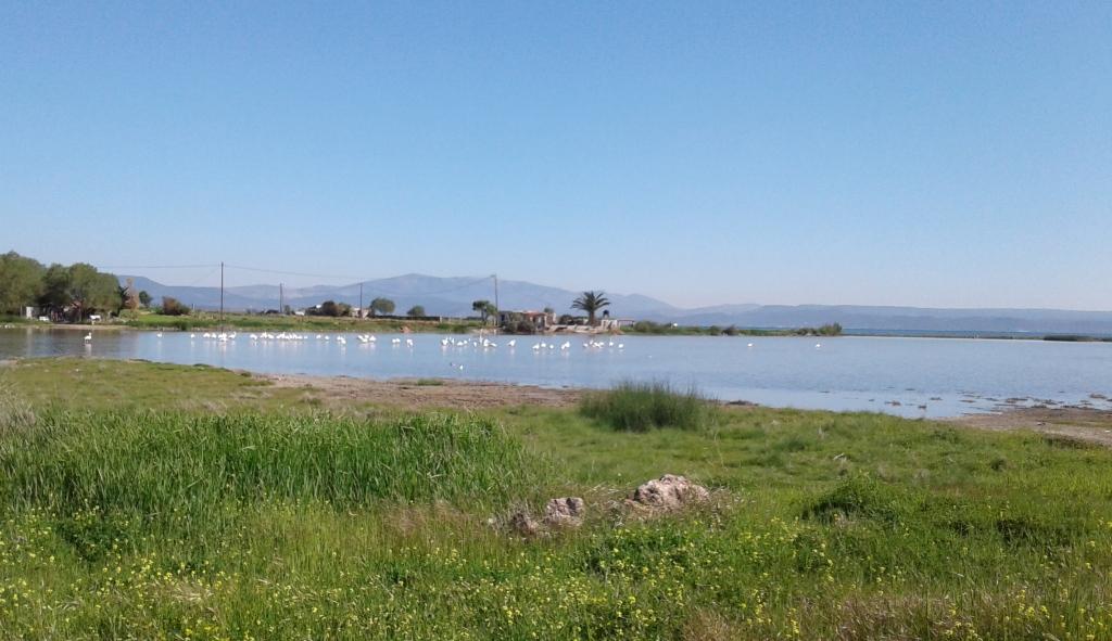 20170411_100051 crop kai small