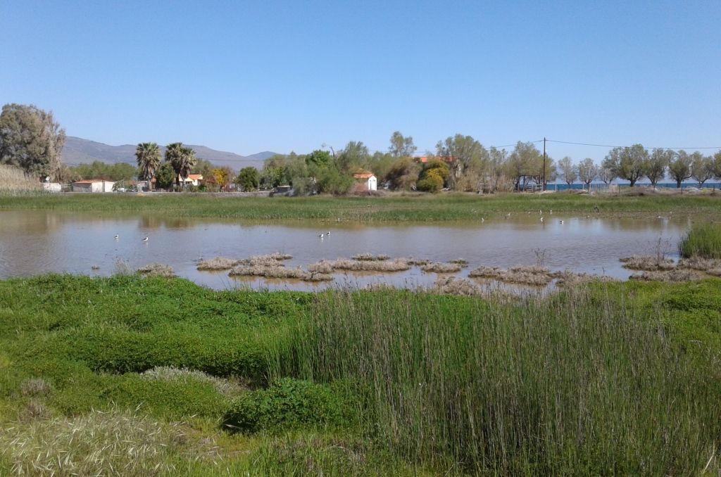 20170411_111016 crop small