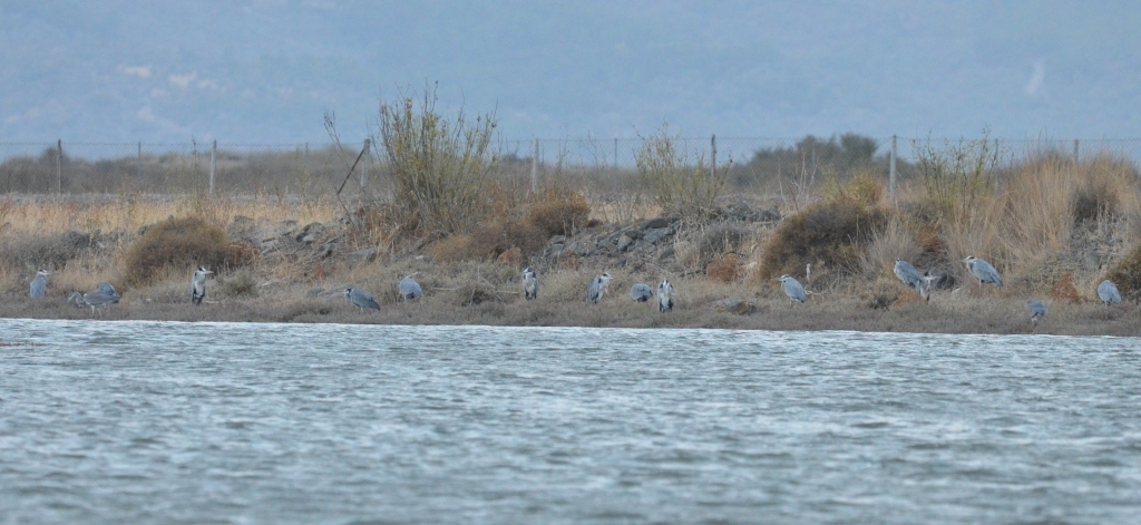 99X_3113 small crop blog