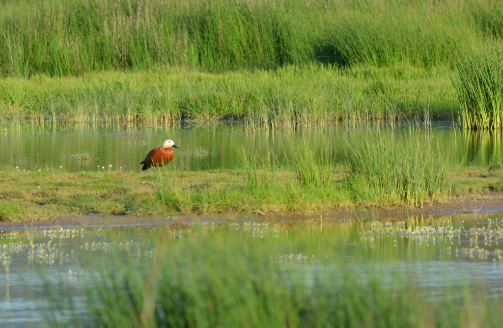 April 2, visits to my loved&nbsp;sites