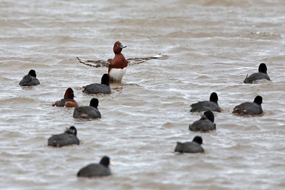 52946149_10212595355430303_5032659999608799232_n