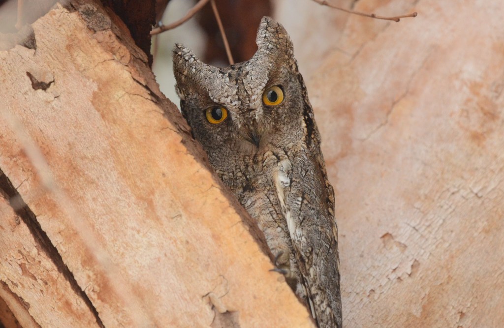 Happy new month,&nbsp;indeed!