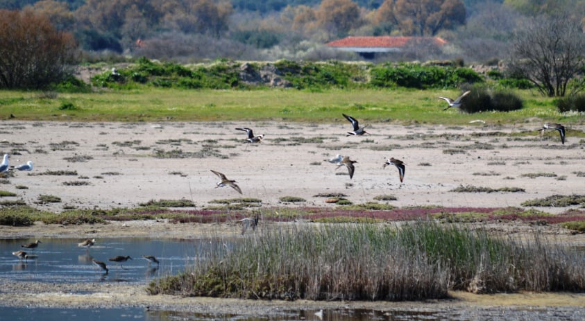 91604140_2601824336725825_6404764444223602688_n