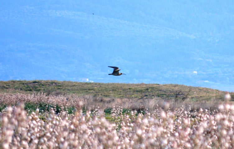 91629291_610168216497929_2558319492023189504_n