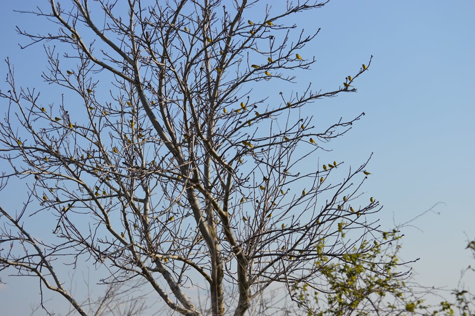 91812166_690872145073974_8787431597885358080_n