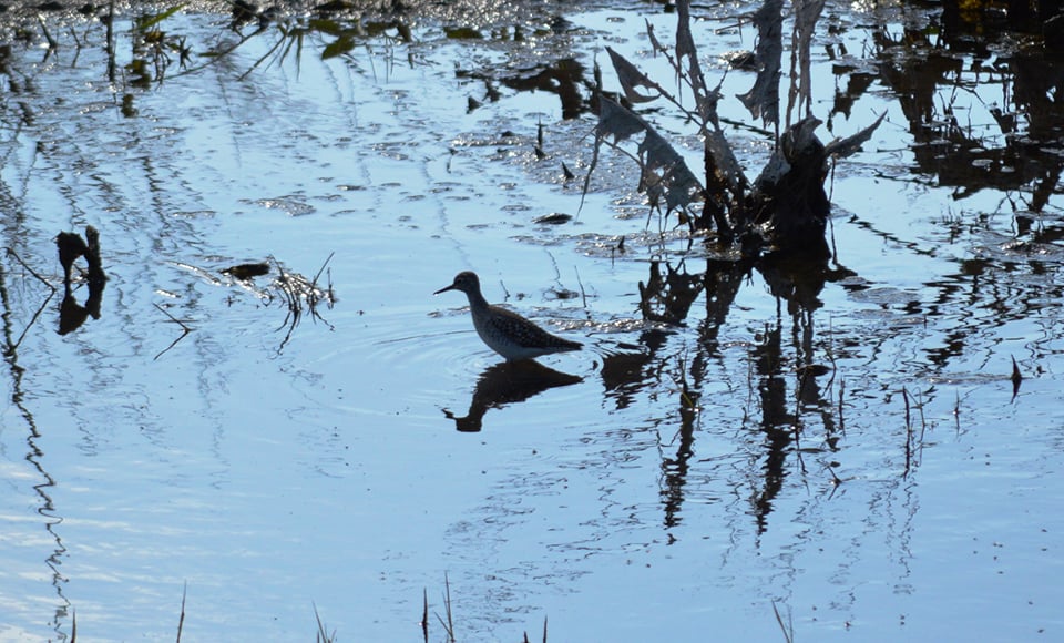 91821821_3338548589507846_7446031423498092544_n